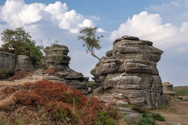 Vista Panoramica Delle Rocce Brimham Nello Yorkshire Dales National Park — Foto Stock