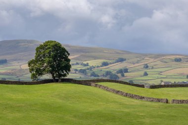 Tepeler Yorkshire Dales National Park içinde Hawes yakınındaki görünümünü