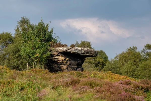 Γραφική Θέα Των Βράχων Brimham Στο Yorkshire Dales Εθνικό Πάρκο — Φωτογραφία Αρχείου