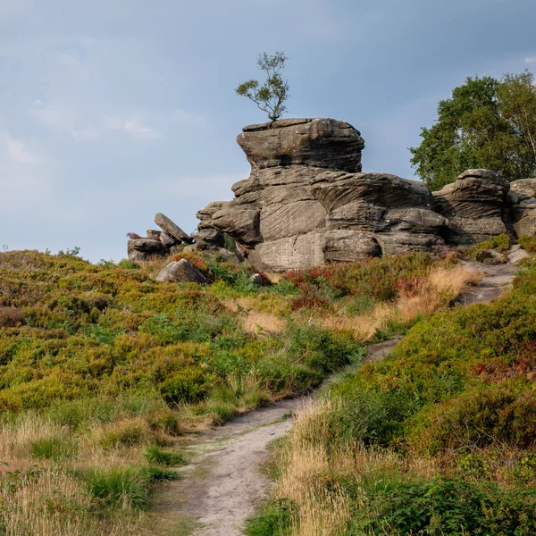 Vista Panorâmica Brimham Rocks Yorkshire Dales National Park — Fotografia de Stock