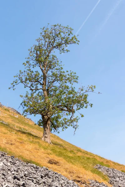 Över Landskapet Runt Byn Conistone Yorkshire Dales Nationalpark — Stockfoto