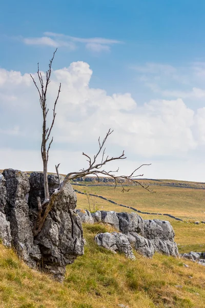 Vista Pavimento Calcário Perto Aldeia Conistone Parque Nacional Yorkshire Dales — Fotografia de Stock