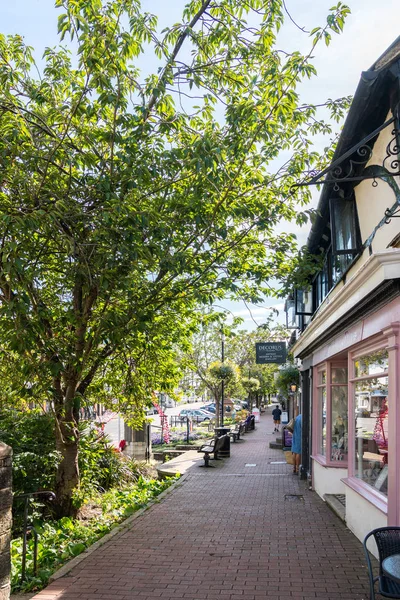 East Grinstead West Sussex August View Shops High Street East — Stockfoto