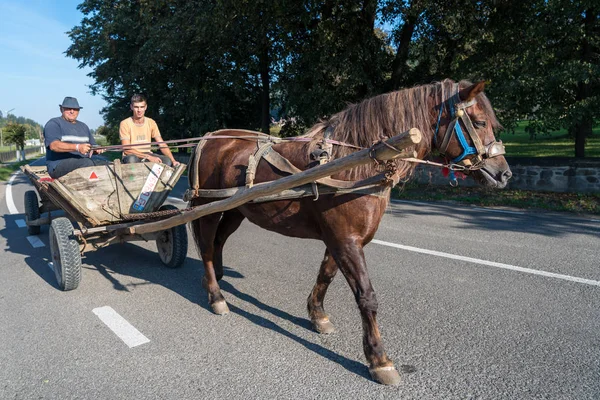 Sucevita 摩尔多瓦 罗马尼亚 9月18日 两名男子在 Sucevita 在摩尔多瓦罗马尼亚在2018年9月18日的马和马车 两个身份不明的人 — 图库照片