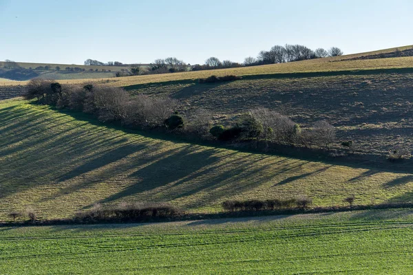 Campo Cerca Folkington East Sussex —  Fotos de Stock