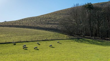 Folkington East Sussex'deki / daki çevresindeki kırsal
