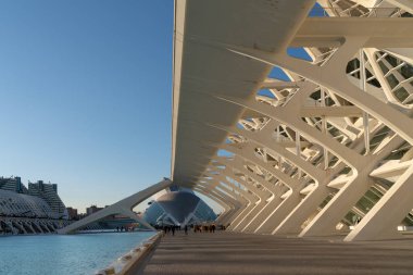 Valencia, İspanya - 25 Şubat: Principe Felipe Bilim Müzesi ben