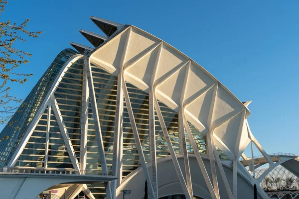 VALENCIA, ESPANHA - FEVEREIRO 25: Príncipe Felipe museu de ciência i — Fotografia de Stock