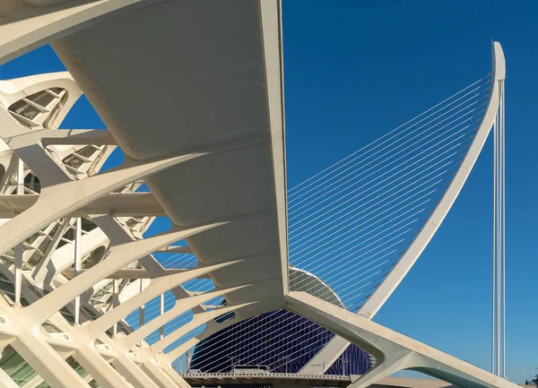 VALENCIA, ESPANHA - FEVEREIRO 25: Príncipe Felipe museu de ciência i — Fotografia de Stock