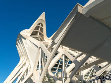 Valencia, İspanya - 25 Şubat: Principe Felipe Bilim Müzesi ben