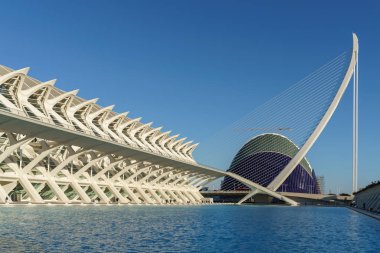 Valencia, İspanya - 25 Şubat: City of Arts and Sciences Val içinde