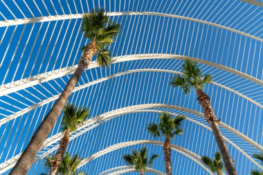 Valencia, İspanya - 25 Şubat: City of Arts and Sciences Val içinde
