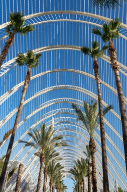 Valencia, İspanya - 25 Şubat: City of Arts and Sciences Val içinde