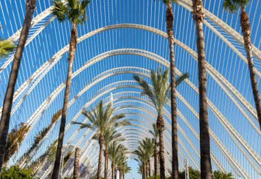 Valencia, İspanya - 25 Şubat: City of Arts and Sciences Val içinde