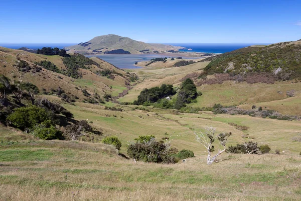 Kırsal Otago Yarımadası'nda doğal görünümü — Stok fotoğraf