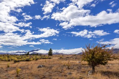 Lake tekapo arsa