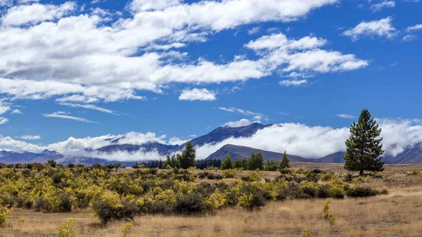 Lake tekapo arsa — Stok fotoğraf