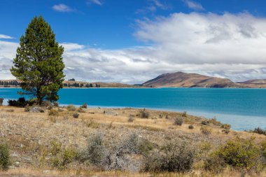 Renkli Tekapo Gölü manzaralı manzara