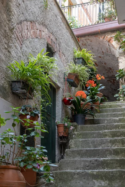 RIOMAGGIORE, LIGURIA/ITALY  - APRIL 21 : Street scene of Riomagg — Stock Photo, Image