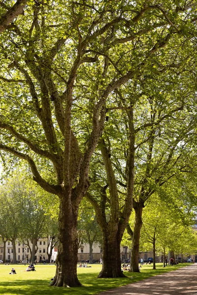 Bristol (VK)-14 mei: uitzicht op Queen's Park in Bristol op 14 mei — Stockfoto