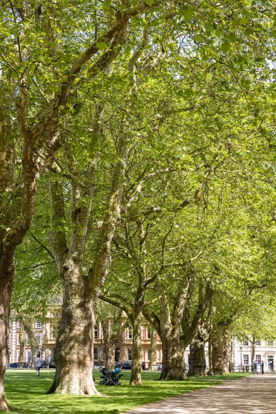БРИСТОЛ, Великобритания - 14 мая: вид на Королевский парк в Бристоле — стоковое фото