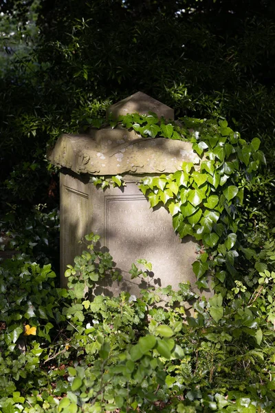 Bristol (Verenigd Koninkrijk)-13 mei: zonovergoten graven langs Birdcage Walk in Brist — Stockfoto