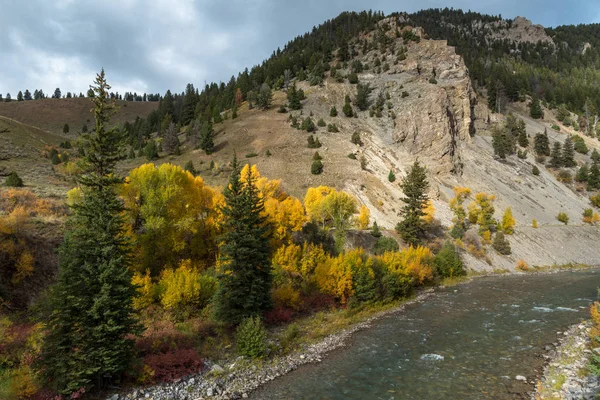Colores de otoño en Wyoming — Foto de Stock