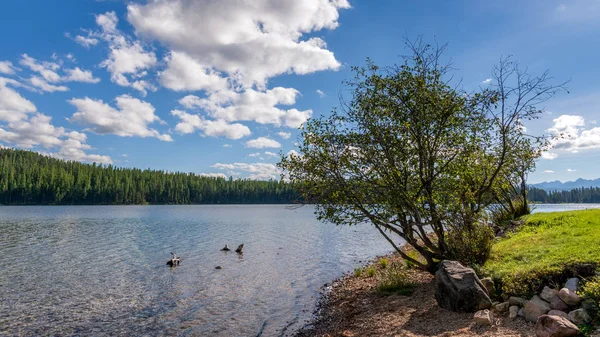 Vista panorâmica do Lago Holland em Montana — Fotografia de Stock