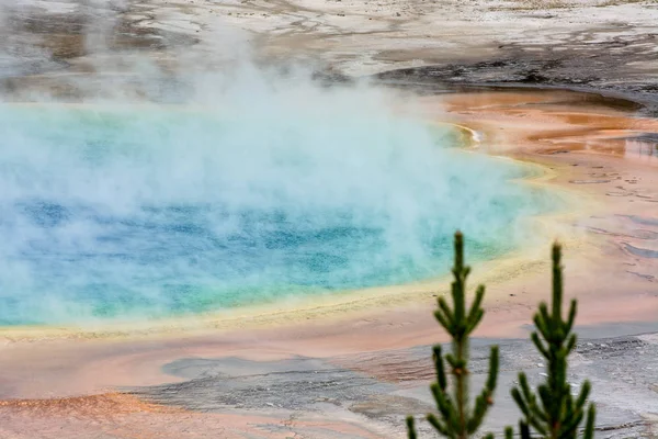View of the Grand Prismatic Spring in Yellowstone — Stock Photo, Image