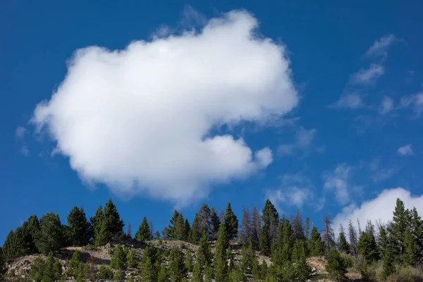 Nube blanca sobre el Bosque Nacional Beaverhead-Deerlodge cerca de Helen —  Fotos de Stock