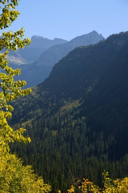 glacier Ulusal Parkı manzaralı görünüm