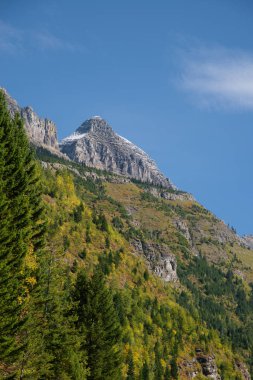 glacier Ulusal Parkı manzaralı görünüm