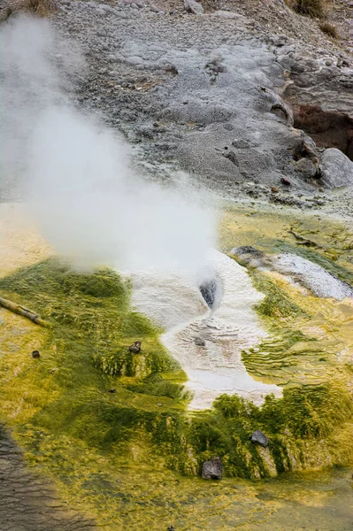 Norris Geyser Basin — Stock Photo, Image