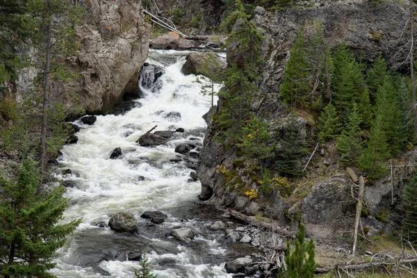 옐로스톤 국립공원의 기번 강 전망 — 스톡 사진