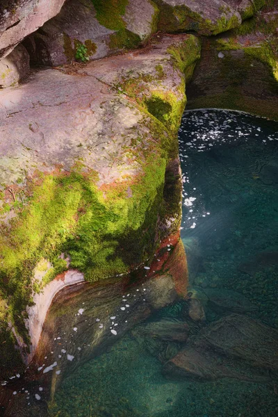 Avalanche Creek Nationaal Park Glacier — Stockfoto