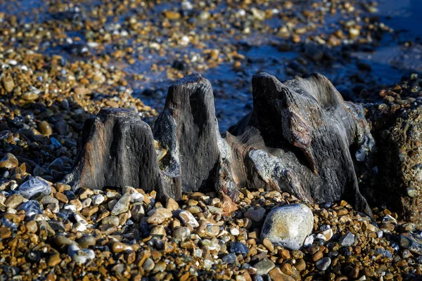 Pozostałości starej drewnianej ostroga regulacyjna w Eastbourne — Zdjęcie stockowe