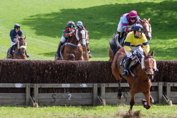 GODSTONE, SURREY/UK - MAY 2 : Point to point racing at Godstone — Stock Photo, Image