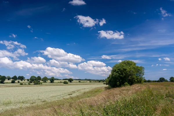 Letni dzień na wsi Sussex — Zdjęcie stockowe