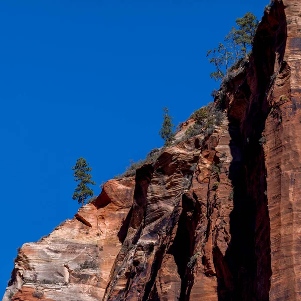 Montagna rossa nel Parco Nazionale di Zion nello Utah — Foto Stock
