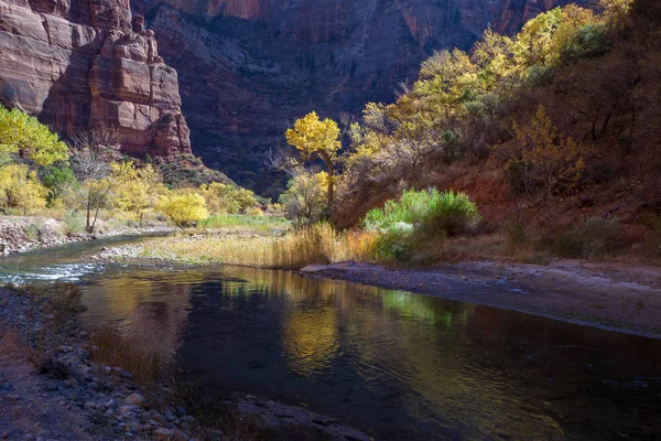 Reflections in the Virgin River — Stock Photo, Image