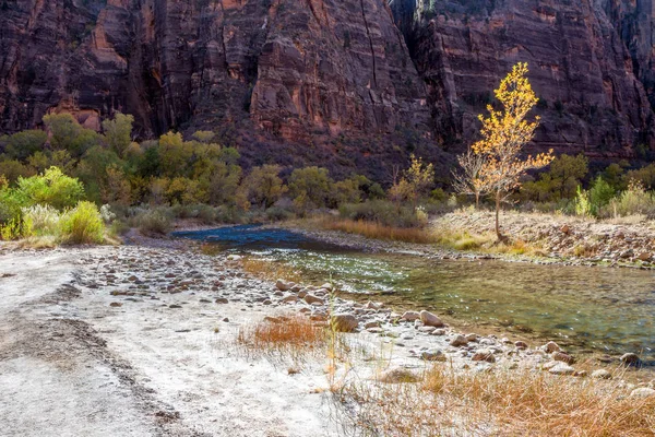 Sungai Virgin mengalir melalui Taman Nasional Zion Utah — Stok Foto