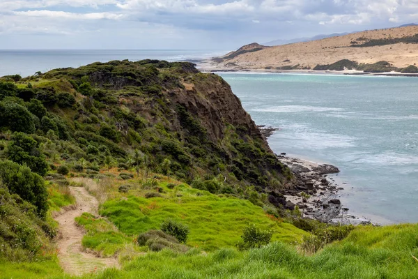 Paseo costero Arai-Te-Uru Reserva de recreo en Omapere en New Ze — Foto de Stock
