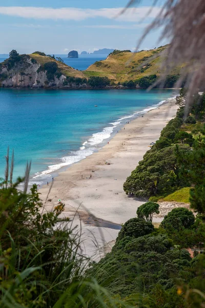 Vista de la playa de Hahei en Nueva Zelanda —  Fotos de Stock