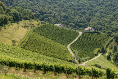 TORRE DE ROVERI, LOMBARDY / ITALY - 13 AĞUSTOS: Torre de 'Roveri, Lombardy, İtalya 13 Ağustos 2020