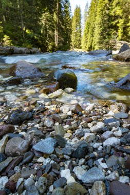 Tonadico, Trentino, İtalya 'daki Paneveggio Pale di San Martino Doğal Parkı' ndaki nehir veya sel manzarası