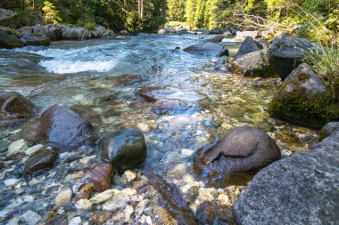 Tonadico, Trentino, İtalya 'daki Paneveggio Pale di San Martino Doğal Parkı' ndaki nehir veya sel manzarası