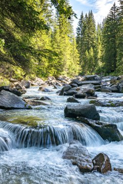 Tonadico, Trentino, İtalya 'daki Paneveggio Pale di San Martino Doğal Parkı' ndaki nehir veya sel manzarası