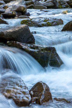 Tonadico, Trentino, İtalya 'daki Paneveggio Pale di San Martino Doğal Parkı' ndaki nehir veya sel manzarası