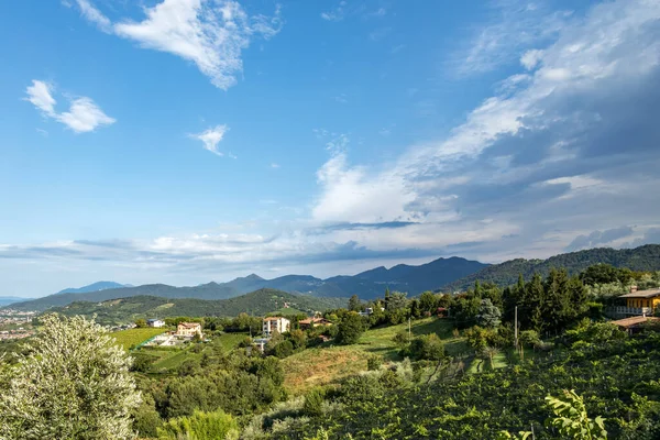 Torre Roveri Lombardia Italia Agosto Veduta Della Campagna Torre Roveri — Foto Stock