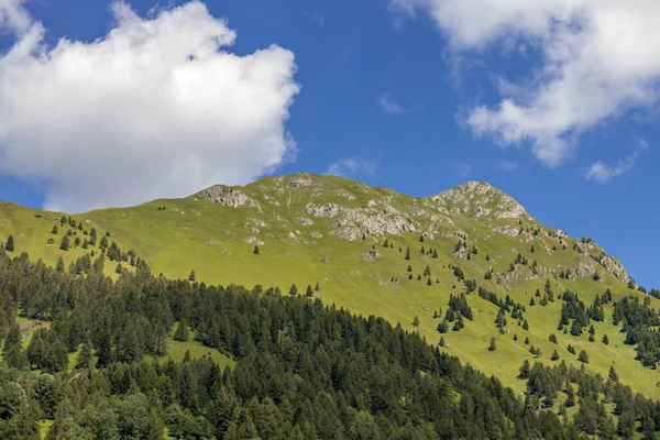 Landschap Van Het Natuurpark Van Paneveggio Pale San Martino Tonadico — Stockfoto